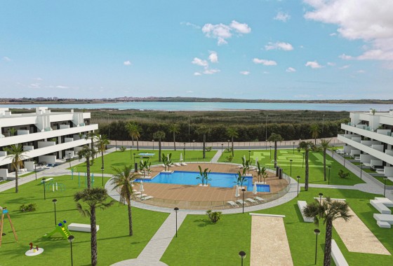 Apartamento - Obra nueva - Guardamar del Segura - EL RASO