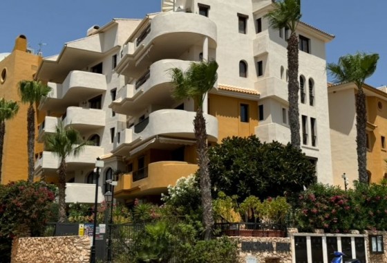 Apartamento - Segunda Mano - Alicante - Alicante