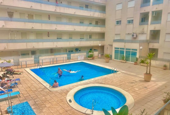 Apartamento - Segunda Mano - Almoradí - Almoradí