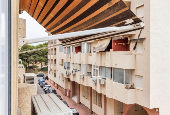 Apartamento - Segunda Mano - Guardamar del Segura - CENTRO