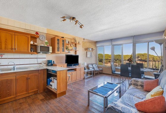 Apartamento - Segunda Mano - Guardamar del Segura - Urb. pinomar