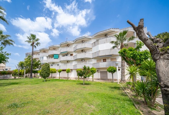 Apartamento - Segunda Mano - Orihuela Costa - Cabo Roig