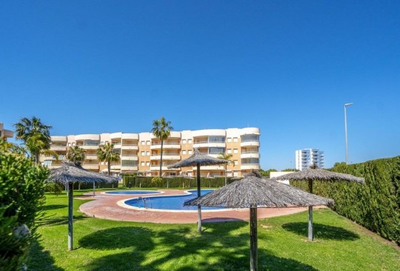 Apartamento - Segunda Mano - Orihuela Costa - Campoamor