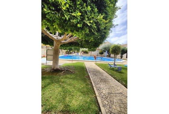 Apartamento - Segunda Mano - Orihuela Costa - Campoamor