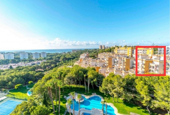 Apartamento - Segunda Mano - Orihuela Costa - Campoamor