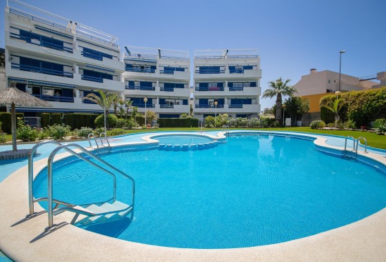 Apartamento - Segunda Mano - Orihuela Costa - Orihuela Costa