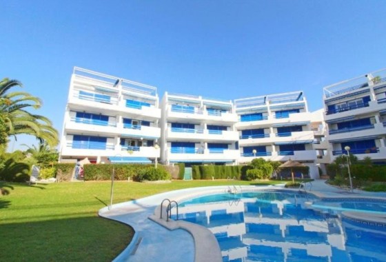 Apartamento - Segunda Mano - Orihuela Costa - Playa Flamenca