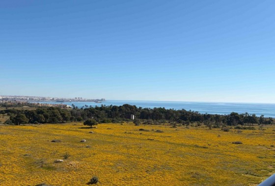 Apartamento - Segunda Mano - Orihuela Costa - Punta Prima