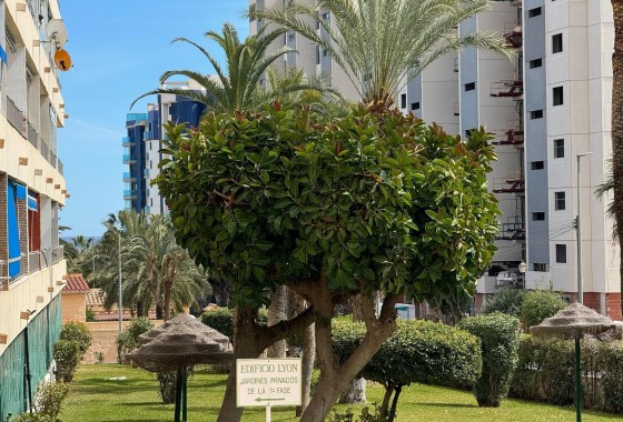 Apartamento - Segunda Mano - Orihuela Costa - Rocio del Mar