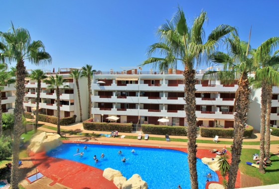 Apartamento - Segunda Mano - Playa Flamenca - Playa Flamenca