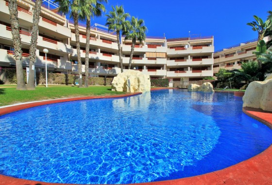 Apartamento - Segunda Mano - Playa Flamenca - Playa Flamenca
