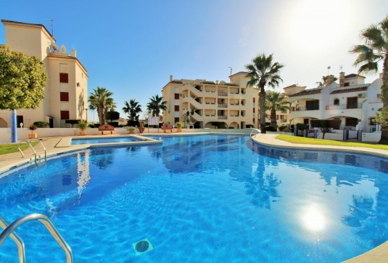 Apartamento - Segunda Mano - Playa Flamenca - Playa Flamenca