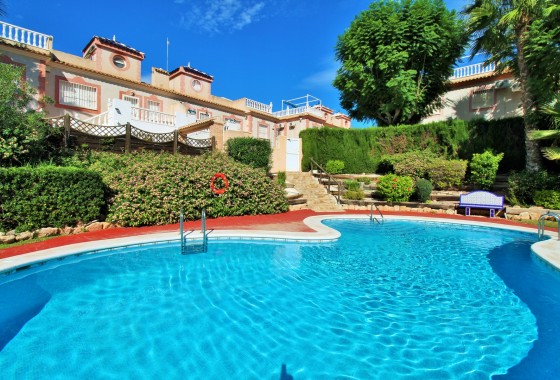 Apartamento - Segunda Mano - Playa Flamenca - Playa Flamenca