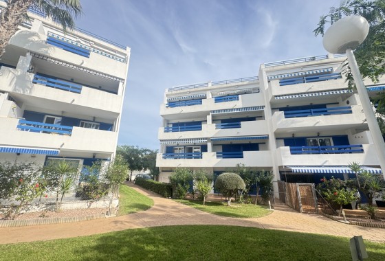 Apartamento - Segunda Mano - Playa Flamenca - Playa Flamenca
