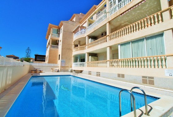 Apartamento - Segunda Mano - Playa Flamenca - Playa Flamenca