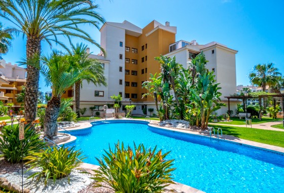 Apartamento - Segunda Mano - Punta Prima - Costa Blanca