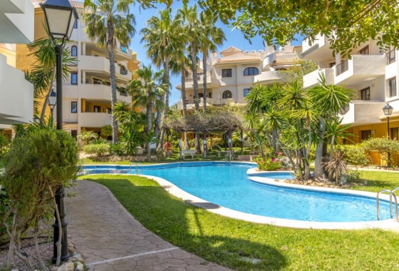 Apartamento - Segunda Mano - Punta Prima - Punta Prima