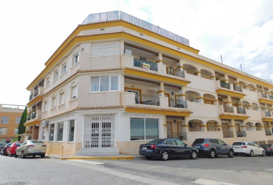 Apartamento - Segunda Mano - San Miguel de Salinas - San Miguel Salinas