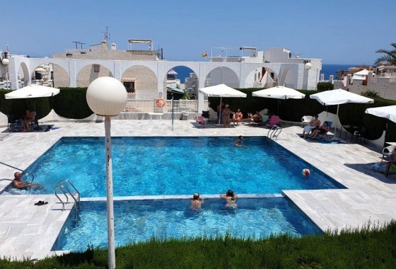 Apartamento - Segunda Mano - Torrevieja - 123R-31909