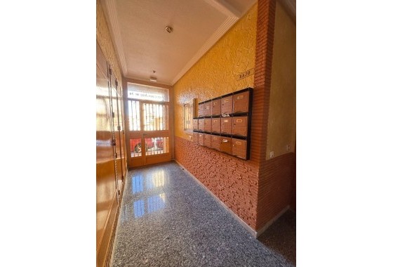 Apartamento - Segunda Mano - Torrevieja - 123R-83443