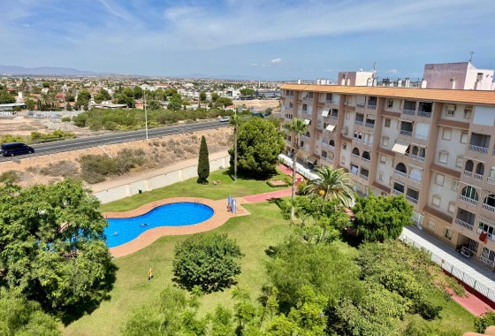 Apartamento - Segunda Mano - Torrevieja - 123Y-63121