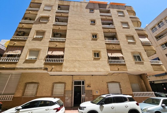 Apartamento - Segunda Mano - Torrevieja - Acequion