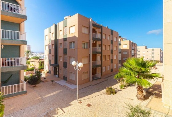 Apartamento - Segunda Mano - Torrevieja - Cabo cervera