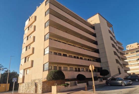 Apartamento - Segunda Mano - Torrevieja - Cabo cervera