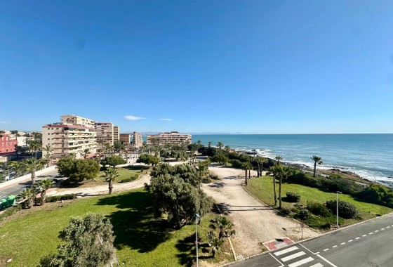 Apartamento - Segunda Mano - Torrevieja - Cabo cervera