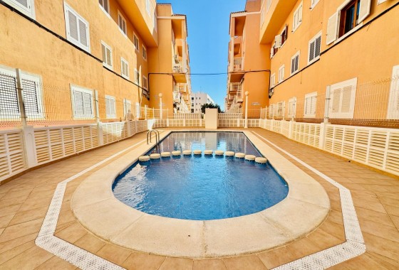 Apartamento - Segunda Mano - Torrevieja - Costa Blanca