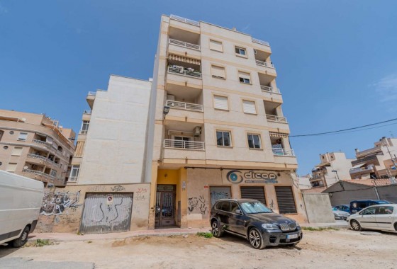Apartamento - Segunda Mano - Torrevieja - El molino