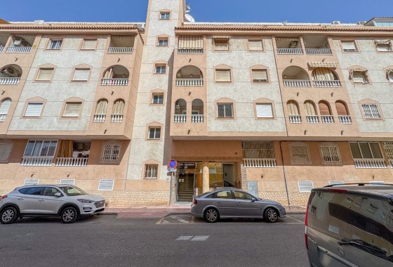 Apartamento - Segunda Mano - Torrevieja - El molino