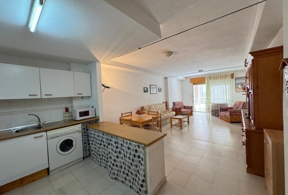 Apartamento - Segunda Mano - Torrevieja - Estacion de autobuses