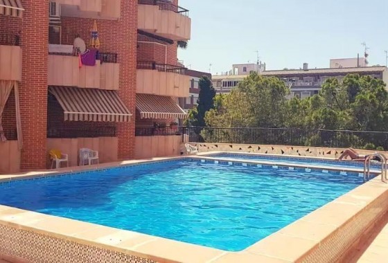 Apartamento - Segunda Mano - Torrevieja - Estacion de autobuses