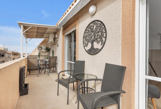 Apartamento - Segunda Mano - Torrevieja - Estacion de autobuses