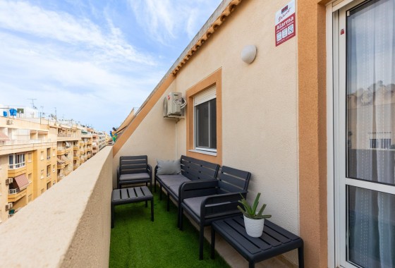 Apartamento - Segunda Mano - Torrevieja - Estacion de autobuses