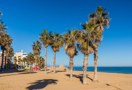 Apartamento - Segunda Mano - Torrevieja - La Mata pueblo