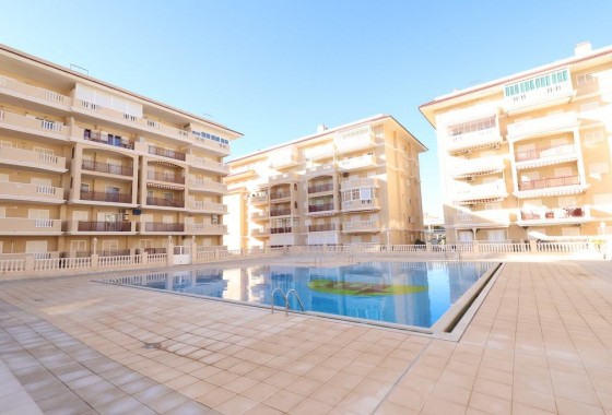 Apartamento - Segunda Mano - Torrevieja - La Mata