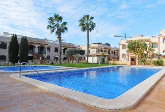 Apartamento - Segunda Mano - Torrevieja - La Mata