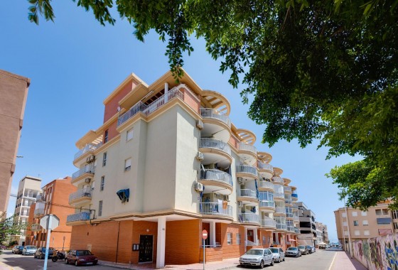 Apartamento - Segunda Mano - Torrevieja - La Mata