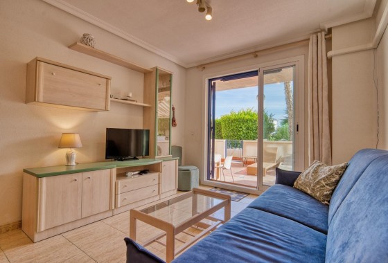 Apartamento - Segunda Mano - Torrevieja - Los Europeos