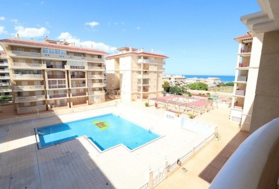 Apartamento - Segunda Mano - Torrevieja - Los Europeos