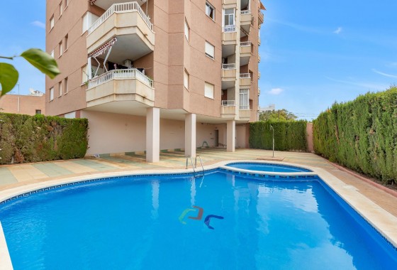 Apartamento - Segunda Mano - Torrevieja - Nueva Torrevieja