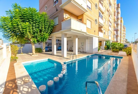 Apartamento - Segunda Mano - Torrevieja - Nueva Torrevieja