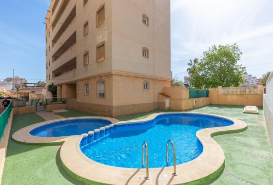 Apartamento - Segunda Mano - Torrevieja - Nueva Torrevieja
