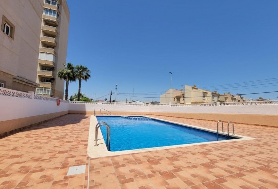 Apartamento - Segunda Mano - Torrevieja - Nueva Torrevieja