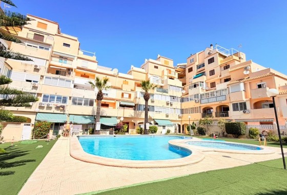 Apartamento - Segunda Mano - Torrevieja - Nueva Torrevieja