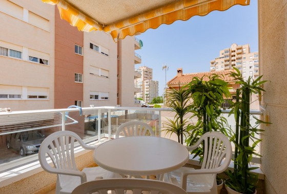 Apartamento - Segunda Mano - Torrevieja - Nueva Torrevieja
