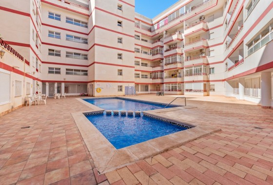 Apartamento - Segunda Mano - Torrevieja - Parque las naciones