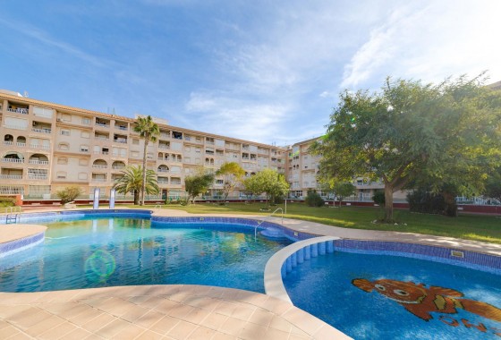 Apartamento - Segunda Mano - Torrevieja - Parque las naciones